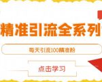 闲鱼精准引流全系列课程，每天引流100精准粉【视频课程】-云帆项目库