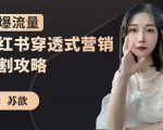 苏歆:小红书穿透式营销收割攻略,引爆流量,助你玩转小红书-云帆项目库