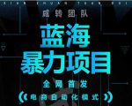 引流哥蓝海暴力躺赚项目：无需发圈无需引流无需售后，每单赚50-500（教程+线报群)-云帆项目库
