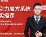 阿呆-引力魔方系统实操课，全体系实战教学，助你快速掌握推荐流量底层逻辑-云帆项目库