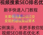 宋老师·短视频搜索SEO优化,教你10分钟创作一个短视频,三天排名上第一-云帆项目库