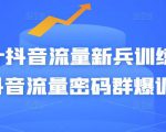 Peter抖音流量新兵训练营-破解抖音流量密码群爆训练营（新兵）-云帆项目库