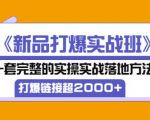 凌童《新品打爆实战班》,一套完整的实操实战落地方法，打爆链接超2000+（28节课)-云帆项目库