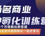 杨名商业IP孵化训练营，从商业到内容到转化一站式学 价值5980元-云帆项目库