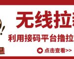 最新接码无限拉新项目，利用接码平台赚拉新平台差价，轻松日赚500+-云帆项目库