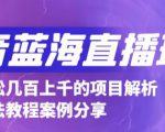 抖音最新蓝海直播玩法，3分钟赚30元，一天轻松1000+，只要你去直播就行【详细玩法教程】-云帆项目库