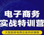 民赛电气内部出品：电子商务实战特训营，全方位带你入门电商，308种方式玩转电商-云帆项目库