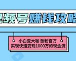 玩转微信视频号赚钱:小白变大咖涨粉百万实现快速变现1000万的现金流-云帆项目库