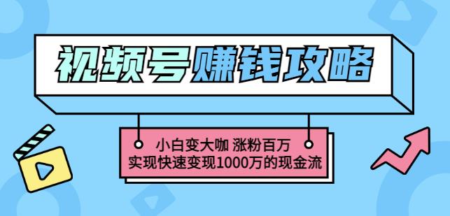 玩转微信视频号赚钱：小白变大咖涨粉百万实现快速变现1000万的现金流-云帆项目库