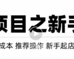 虚拟项目快速起店模式，0成本打造月入几万虚拟店铺！-云帆项目库