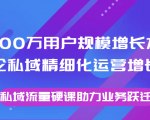 8000万用户规模增长方法论私域精细化运营增长，私域流量硬课助力业务跃迁-云帆项目库