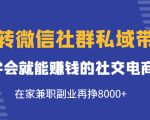 玩转微信社群私域带货，学会就能赚钱的社交电商，在家兼职副业再挣8000+-云帆项目库