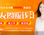 全网千万人气导师亲授：零基础/易上手的朋友圈赚钱攻略，让你轻松月入过万-云帆项目库