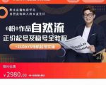0粉0作品自然流正价起号及稳号全教程，专业自然流起号机构流程化教学（价值2980元）-云帆项目库