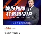 教你如何打造超级IP，抖音流量红利新机遇（价值980元）-云帆项目库