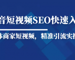 抖音短视频Seo搜索排名优化新手快速入门教程，实体商家短视频，精准引流实操课-云帆项目库