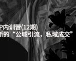 新媒体IP内训营(12期)，一套全新的“公域引流，私域成交”IP打法，直接带走-云帆项目库