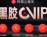 网易云音乐撸黑胶年卡及变现方法,收益可无限放大-云帆项目库