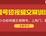 视频号短视频文案训练营：0基础小白如何建立视频号，上热门，能卖货！-云帆项目库