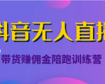 抖音无人直播带货赚佣金陪跑训练营（价值6980元）-云帆项目库