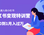 小红书变现特训营：带你快速入局小红书，从0到1月入过万-云帆项目库