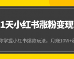 21天小红书涨粉变现营(第4期):带你掌握小红书爆款玩法,月赚10W+秘密-云帆项目库