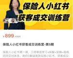 保险人小红书获客成交训练营，0基础高效玩转小红书，可复制的获客成交之路-云帆项目库