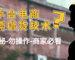 外面收费2980的全平台电商白嫖撸货技术（仅揭秘勿操作-商家防范必看）-云帆项目库