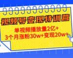 21天视频号变现特训营：单视频播放量2亿+3个月涨粉30w+变现20w+（第14期）-云帆项目库