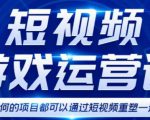 短视频游戏赚钱特训营,0门槛小白也可以操作,日入1000+-云帆项目库