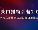 镜头口播特训营2.0版，学习文案编导以及拍摄口播能力（50节课时）-云帆项目库