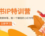小红书IP特训营：从搭建-制作-爆款脚本等等，做一个赚钱的小红书号-云帆项目库