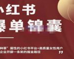 小红书爆单锦囊，自带种草属性+高质量女性用户，为你的企业开辟一条新的掘金路径-云帆项目库