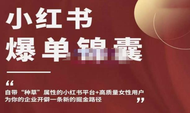 小红书爆单锦囊，自带种草属性+高质量女性用户，为你的企业开辟一条新的掘金路径-云帆项目库