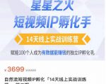瑶瑶·自然流短视频IP孵化第二期，14天线上实战训练营，赋能100个人成为有数据能赚钱的独立IP孵化手-云帆项目库