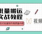 视频号批量搬运实战操作运营赚钱教程，傻瓜式批量制作高质量内容【附视频教程+PPT】-云帆项目库