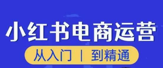 顽石小红书电商高阶运营课程，从入门到精通，玩法流程持续更新-云帆项目库