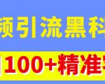 视频引流黑科技玩法，不花钱推广，视频播放量达到100万+，每日100+精准客源-云帆项目库