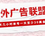 外面收费1980的最新国外LEAD广告联盟搬砖项目,单号一天至少30美金【详细玩法教程】-云帆项目库