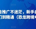 亚马逊广告推广不迷茫,新手卖家产品运营入门到精通(恐龙跨境电商)-云帆项目库