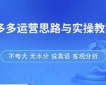 拼多多店铺运营思路与实操教程,快速学会拼多多开店和运营,少踩坑,多盈利-云帆项目库