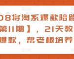 108将淘系爆款陪跑营【第11期】，21天教运营打爆款，帮老板培养运营-云帆项目库