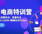 美团电商特训营:美团·店群玩法,无脑铺货月产出6000-15000+精细化月产2w+-云帆项目库