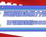 豆瓣精准暴力引流,日引精准粉500+【12课时】-云帆项目库