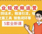 5套·美业短视频运营课从场景到话术·精准引流·吸金文案工具·销售闭环等-云帆项目库