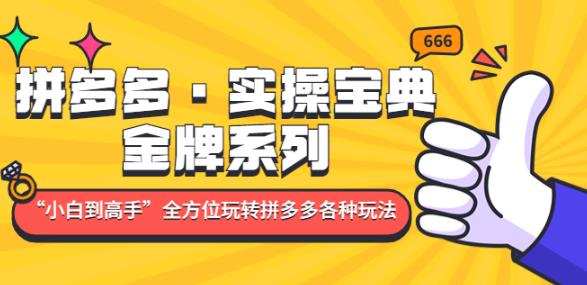 拼多多·实操宝典：金牌系列“小白到高手”带你全方位玩转拼多多各种玩法-云帆项目库
