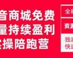 抖音商城搜索持续盈利陪跑成长营,抖音商城搜索从0-1、从1到10的全面解决方案-云帆项目库