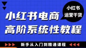 小红书电商高阶系统教程,新手从入门到精通系统课-云帆项目库