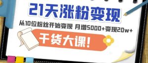 21天精准涨粉变现干货大课：从10位粉丝开始变现月增5000+变现20w+-云帆项目库