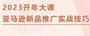 2023亚马逊新品推广实战技巧，线下百万美金课程的精简版，简单粗暴可复制，实操性强的推广手段-云帆项目库